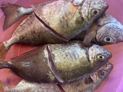 -蚝乡农庄(铁涌赤岸店)