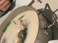 白芷鱼头锅-肥仔文澳门猪骨煲(南京西路店)