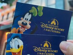 -上海迪士尼度假区