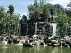 -北京野生动物园