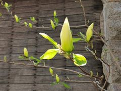 -天津东丽湖风景区