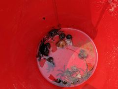 -青岛银沙滩