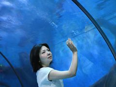 -合肥海洋世界