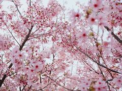 -福建鲤鱼洲酒店