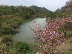 -四明山国家森林公园