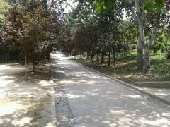 -西安市长乐公园