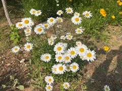 -山东大学(兴隆山校区)