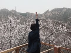 -大岭沟猕猴桃谷风景区