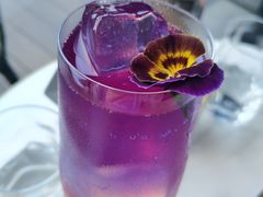 -STARRY CAFE & LOUNGE BAR(高新店)