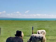 -青海湖国家重点风景名胜区