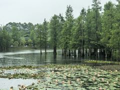 -白鹭湾湿地公园