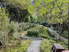-友谊关景区