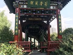 -迎泽公园
