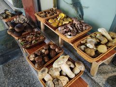 -草墩罗非鱼庄•野生菌•腊排骨(七星街上段店)