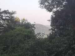 -火炉山森林公园