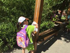 外出活动-灞桥十里铺舒克幼儿园