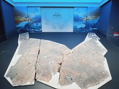 -贵州省地质博物馆