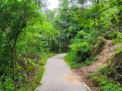 -青龙山国家森林公园