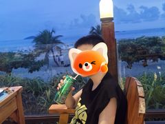 -渔家火锅·海鲜自助餐·演艺(亚龙湾天域酒店)