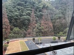 -宁海森林温泉