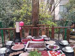 -二荆条·蜀鲜汇城市森林火锅