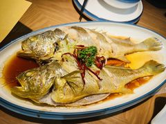 油泼黄花鱼-波螺油子青岛本帮菜(银座店)