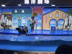 -重庆欢乐海底世界
