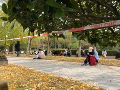 -浙江农林大学(东湖校区)