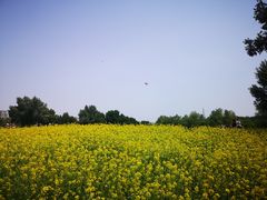 -长白岛森林公园