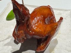 -侨美食家·41年地道粤菜(珠江新城店)