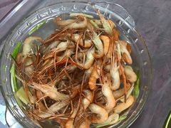 -呼吸森林·生态农庄农家乐私房菜