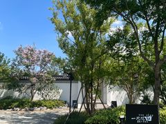 -上海滨江森林公园