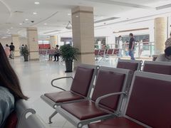 -上海中医药大学附属曙光医院(东部)