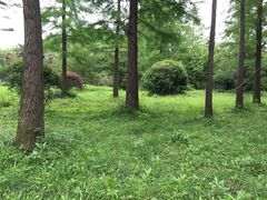 -蜀冈西峰生态公园