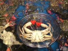 -乔哥铭洋海鲜自助(皇城恒隆广场店)