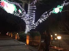 -碧水湾温泉