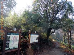 -祁门牯牛降观音堂风景区