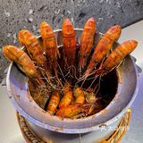 每一只都有满满虾膏的胡椒虾🦐地道夜市大排档🔥
