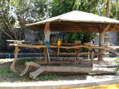 -清迈夜间动物园