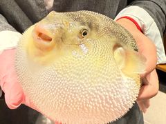 -永安鱼庄·镇江菜(东吴路店)