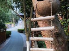 -天目湖涵田半山温泉