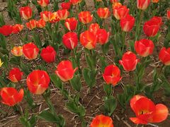 -廊坊文化艺术中心