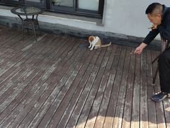 -发条鸭无人健身房(浦东北艾路店)