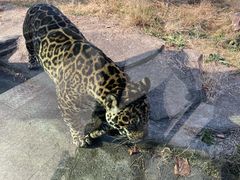 -杭州野生动物世界