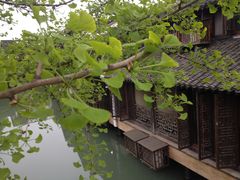 -乌镇景区