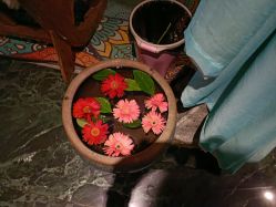 -琦品高端美容SPA私佳美场