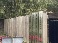 -都江堰中华大熊猫苑