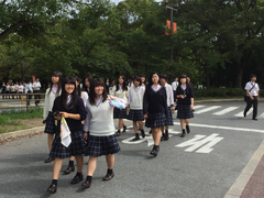 -大阪市立自然史博物馆