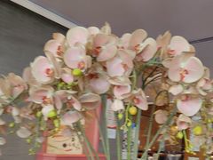 -八府香鸭·啫啫煲(华山路店)