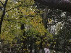 -杭州半山国家森林公园